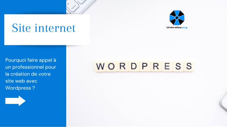 Pourquoi faire appel à un professionnel pour la création de votre site web avec WordPress ?